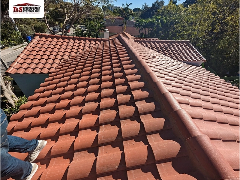 Roof Replacement & Repair Services